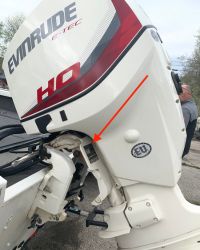 evinrude model number location